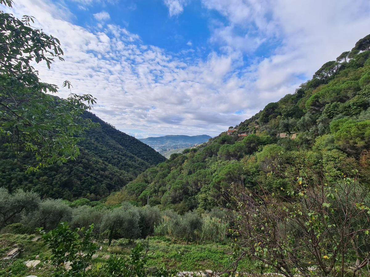 Castrusso Il Frantoio Di Rapallo By Portofinovacanze Buitenkant foto