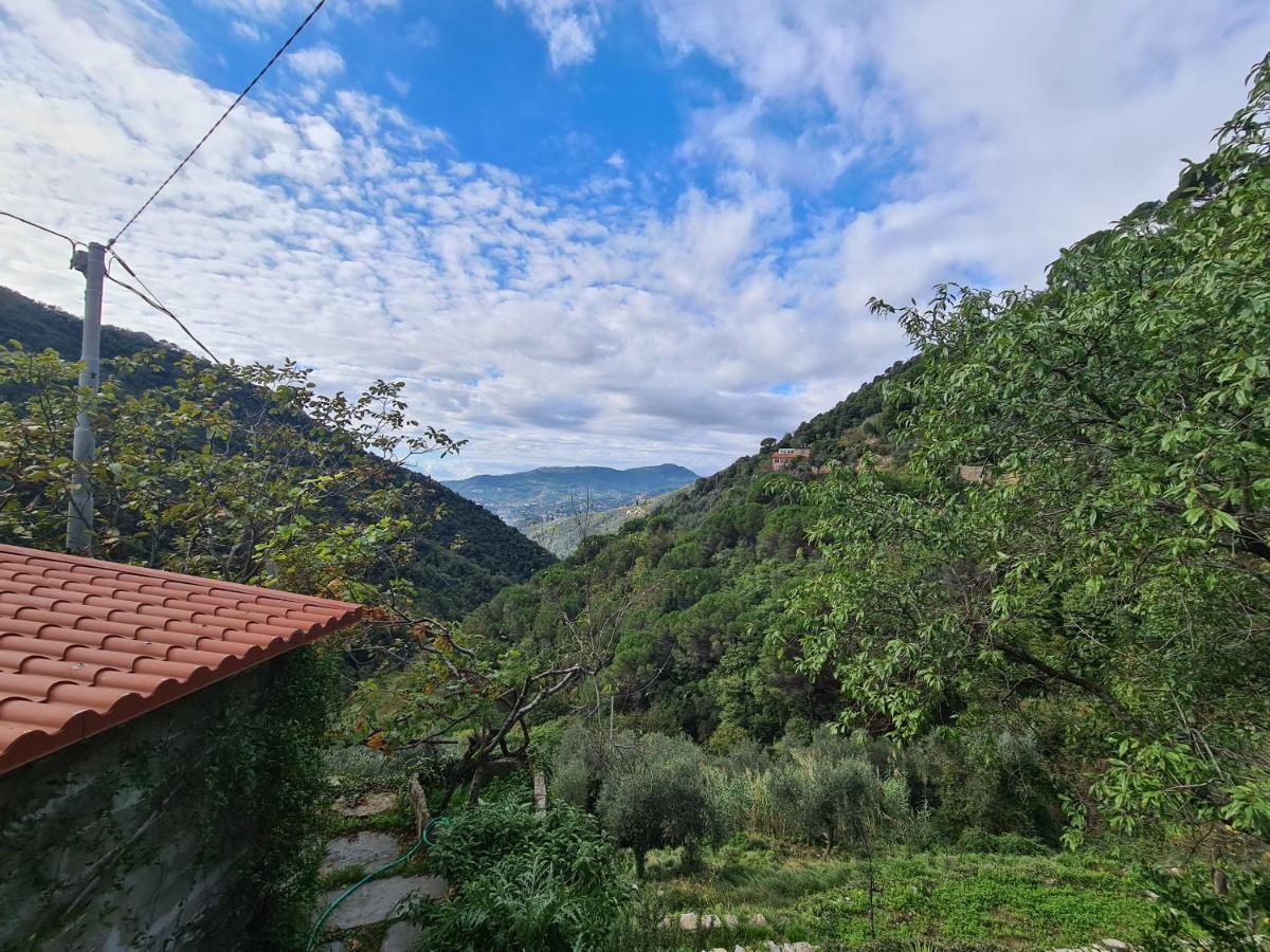 Castrusso Il Frantoio Di Rapallo By Portofinovacanze Buitenkant foto