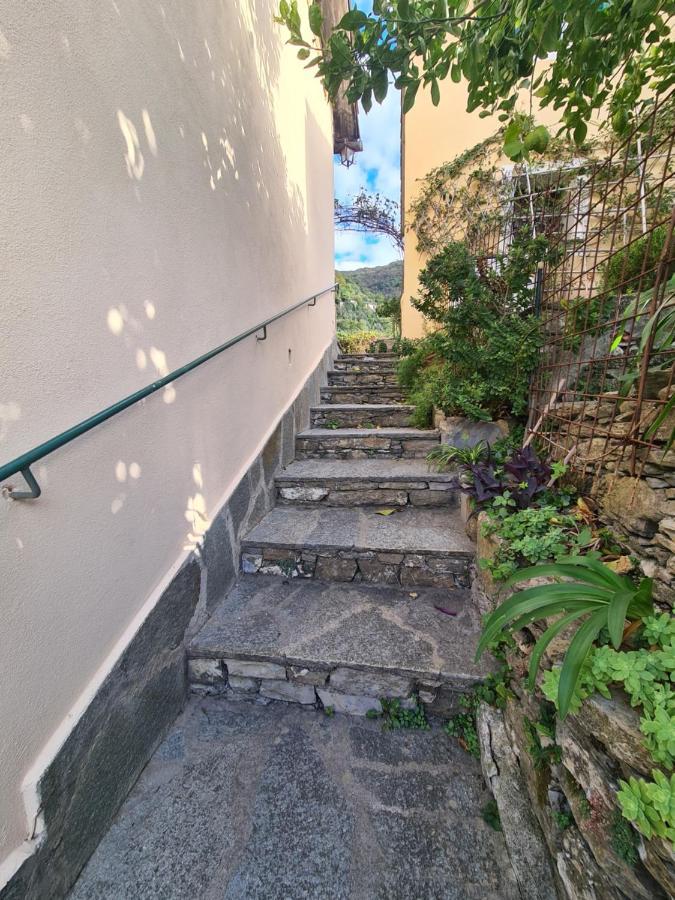 Castrusso Il Frantoio Di Rapallo By Portofinovacanze Buitenkant foto